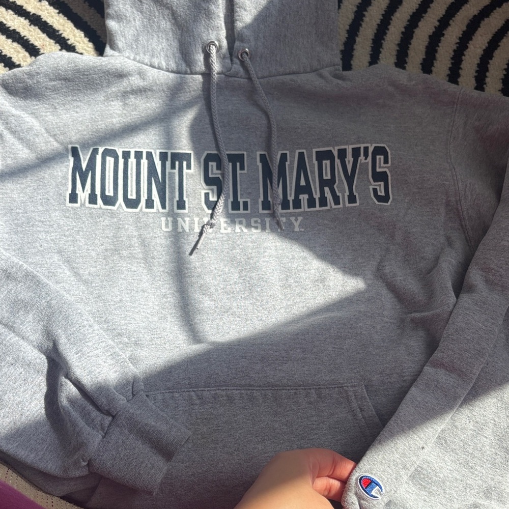 College Champion Hoodie